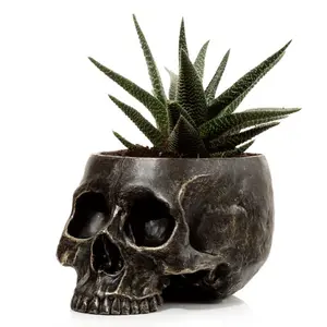 Jardinière pot - crâne Puckator image-2
