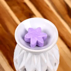 Lavender Field Wax Melts Puckator (x6) image-2