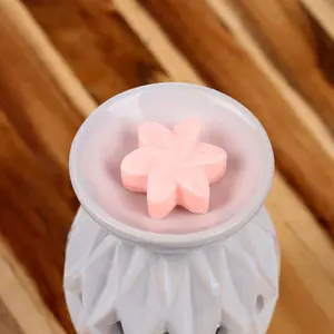 Fondants de cire Magnolia Japonais Puckator (x6) image-0