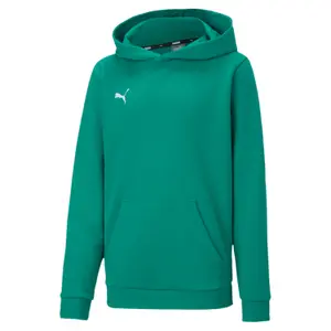 Child hoodie Puma Teamgoal 23 Casuals image-0