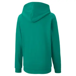 Child hoodie Puma Teamgoal 23 Casuals image-1