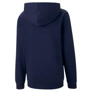 Child hoodie Puma Teamgoal 23 Casuals image-1