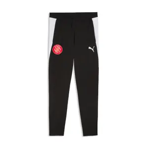 Trainingshose Puma teamFINAL26