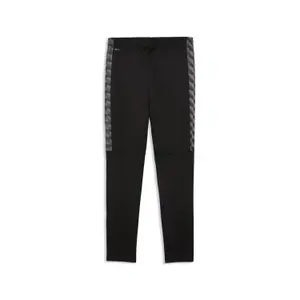 Παντελόνι προπόνησης Puma TeamLiga26 image-1