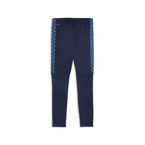 Pantaloni da allenamento Puma TeamLiga26 image-1