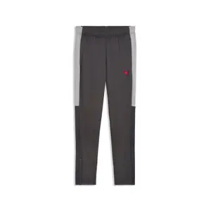 Παντελόνι προπόνησης Puma IndividualLiga image-0