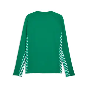 Long Sleeve Jersey Puma TeamLIGA26 image-1