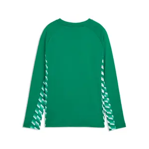 Camisola de manga comprida para crianças Puma Teamliga26 image-1