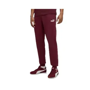 Jogging Trousers Puma Essential No.1 Logo FL CL image-0