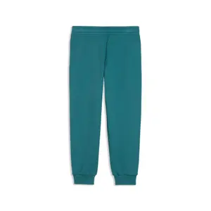 Παιδικό παντελόνι φόρμας Puma Essential Small No.1 Logo FL PS image-3