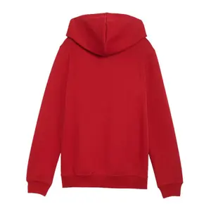 Camisola com capuz para criança Puma ESS Small No.1 Logo image-1