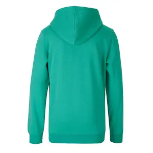 Sweatshirt com capuz bordado criança Puma Small No.1 Logo image-1