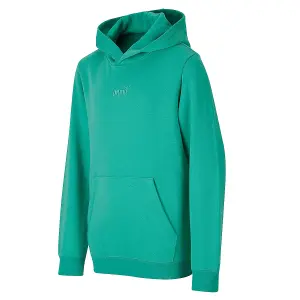 Sweatshirt com capuz bordado criança Puma Small No.1 Logo image-2