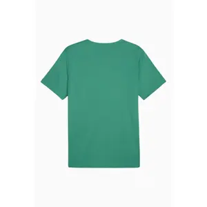 Children's jersey Puma Team Rise Matchday image-1