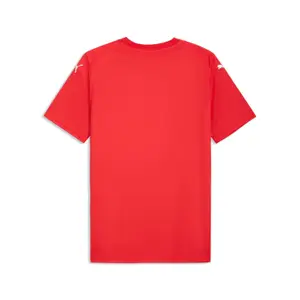 Camisola Puma teamFINAL Graphic image-1