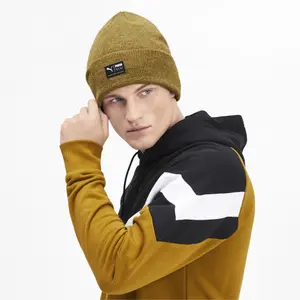 Cap Puma Arch heather image-1