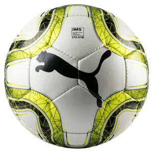 Balloon Puma Final 4 image-0