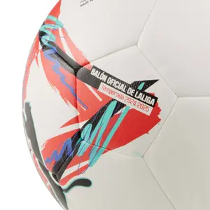 LaLiga 1 mesterskabsbold Puma Orbita 2024/25 image-2