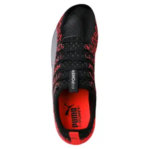 Soccer shoes Puma evoPOWER Vigor 2 Graphic FG image-2