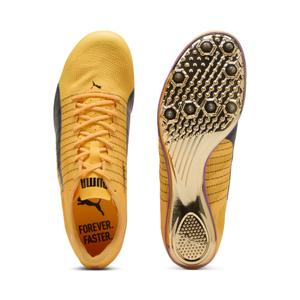 Athletic shoes Puma evoSPEED BRUSH 6 image-4