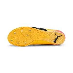 Sportschoenen Puma Evospeed Long Jump 10 image-5