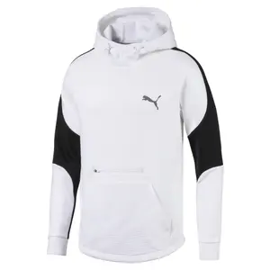 Sweatshirt Puma Evostripe fd image-0