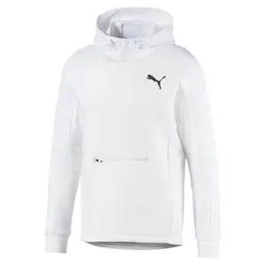 Hættetrøjer Puma Evost image-0