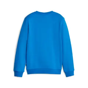 Two-Tone Crew Neck Sweatshirt for Kids Puma Essentials+Big image-1