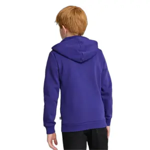 Puma Essentials+ Big Logo Baby Boy Two-Tone Hoodie image-4