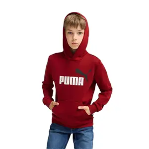 Puma Essentials+ Big Logo Kids Two-Tone Hoodie image-2