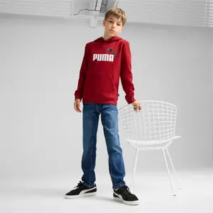 Puma Essentials+ Big Logo Kids Two-Tone Hoodie image-1