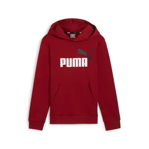 Puma Essentials+ Big Logo Kids Two-Tone Hoodie image-0