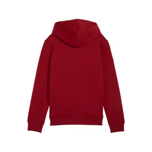 Puma Essentials+ Big Logo Kids Two-Tone Hoodie image-3