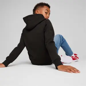Baby boy hoodie Puma Essentials+ Two-Tone Big Logo image-3