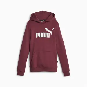 Girl's hoodie Puma ESS Logo FL image-0