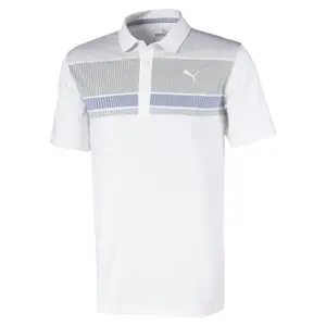 Polo Puma Road map image-0