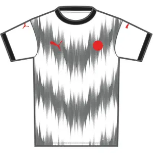 T-Shirt Puma Fast Match 24 image-0