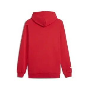 Hoodie Puma F1® Essentials+ image-3