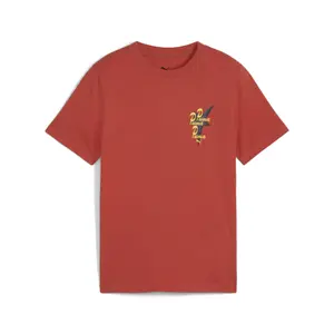 Camiseta infantil Puma Road To Unity Graphic image-0