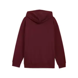 Full zip hoodie Puma BMW MMS ESS image-1