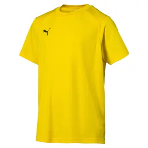 Kindertrikot Puma Liga training image-0