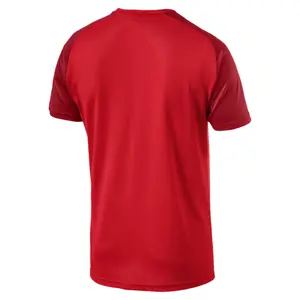 Trainingstrikot Puma CUP image-1