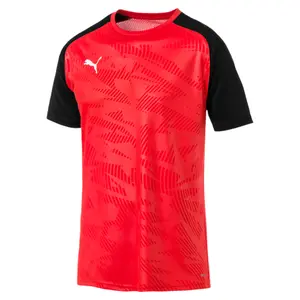 Jersey Puma cup training jersey image-0
