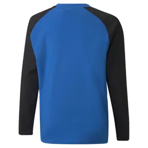 Sudadera para niños Puma Teamliga image-1