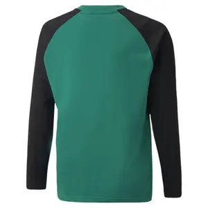 Sudadera para niños Puma Teamliga image-1
