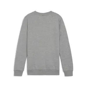 Sweatshirt för barn Puma teamGOAL Casuals image-1