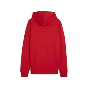 Sweatshirt à capuche Puma Teamgoal Casuals image-2