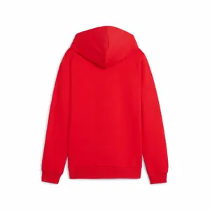 Sudadera con capucha infantil Puma teamGoal image-1