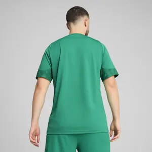 Koszulka Puma Team Cup image-4