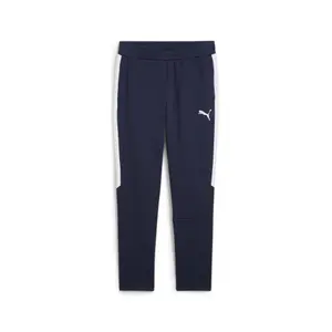659948-06-pantalon-de-chandal-puma-team-evostripe-azul